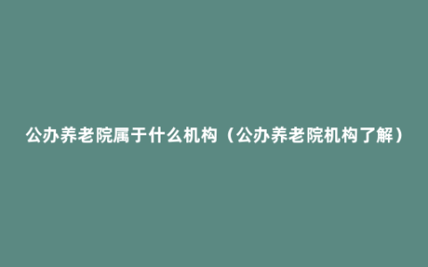 公办养老院属于什么机构（公办养老院机构了解）