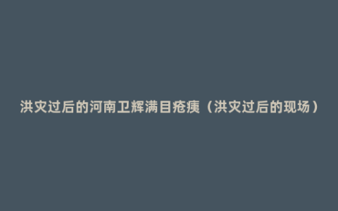 洪灾过后的河南卫辉满目疮痍（洪灾过后的现场）