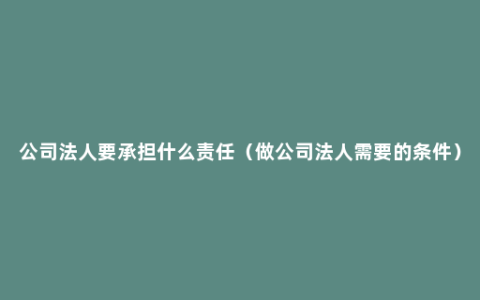 公司法人要承担什么责任（做公司法人需要的条件）