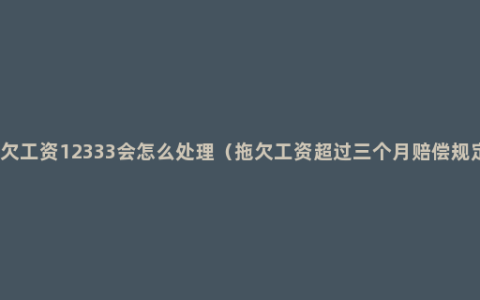 拖欠工资12333会怎么处理（拖欠工资超过三个月赔偿规定）