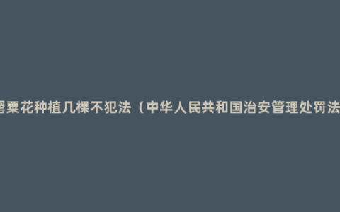 罂粟花种植几棵不犯法（中华人民共和国治安管理处罚法）