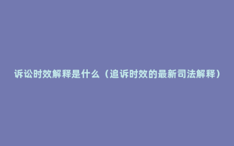 诉讼时效解释是什么（追诉时效的最新司法解释）