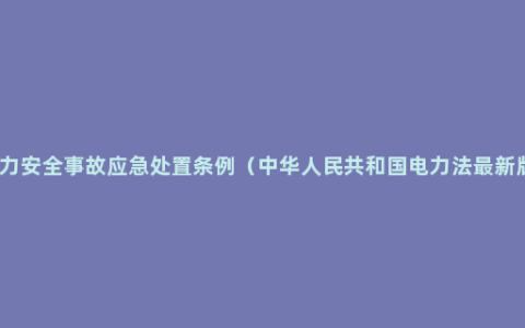 电力安全事故应急处置条例（中华人民共和国电力法最新版）