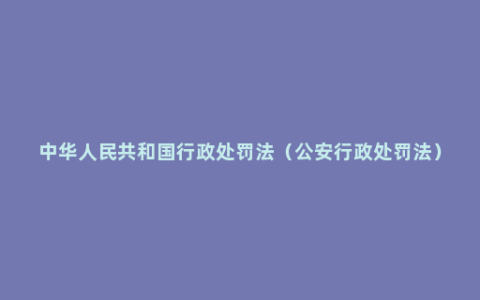 中华人民共和国行政处罚法（公安行政处罚法）