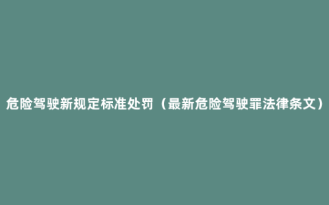 危险驾驶新规定标准处罚（最新危险驾驶罪法律条文）