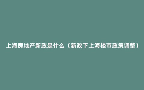 上海房地产新政是什么（新政下上海楼市政策调整）