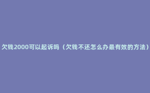 欠钱2000可以起诉吗（欠钱不还怎么办最有效的方法）
