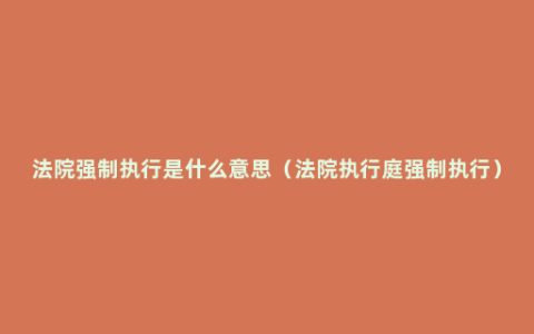 法院强制执行是什么意思（法院执行庭强制执行）