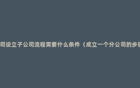 公司设立子公司流程需要什么条件（成立一个分公司的步骤）
