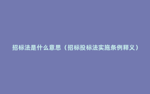 招标法是什么意思（招标投标法实施条例释义）