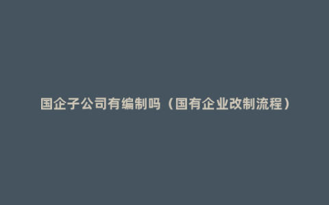 国企子公司有编制吗（国有企业改制流程）
