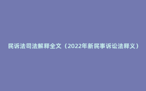 民诉法司法解释全文（2022年新民事诉讼法释义）