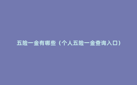 五险一金有哪些（个人五险一金查询入口）