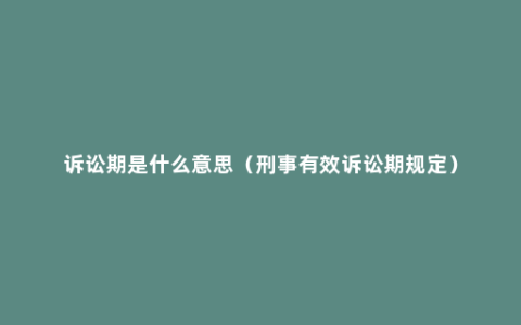 诉讼期是什么意思（刑事有效诉讼期规定）