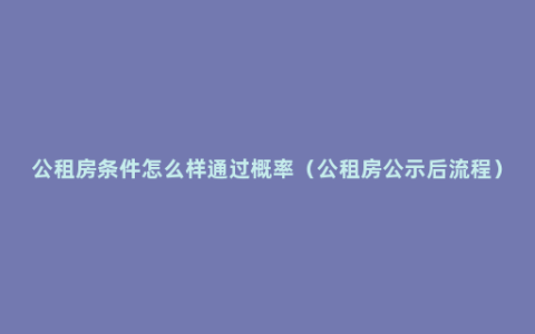 公租房条件怎么样通过概率（公租房公示后流程）