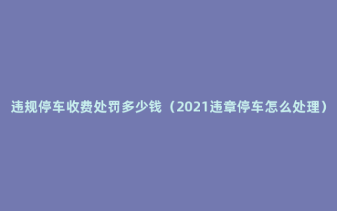 违规停车收费处罚多少钱（2021违章停车怎么处理）