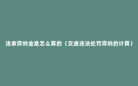 违章滞纳金是怎么算的（交通违法处罚滞纳的计算）