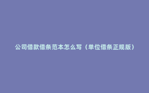 公司借款借条范本怎么写（单位借条正规版）