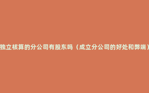 独立核算的分公司有股东吗（成立分公司的好处和弊端）