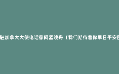 中国驻加拿大大使电话慰问孟晚舟（我们期待着你早日平安回家）