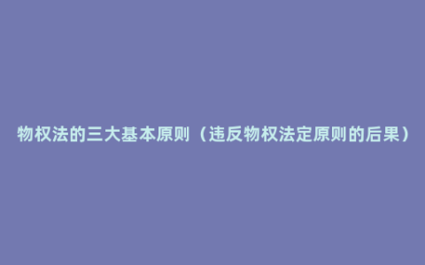 物权法的三大基本原则（违反物权法定原则的后果）