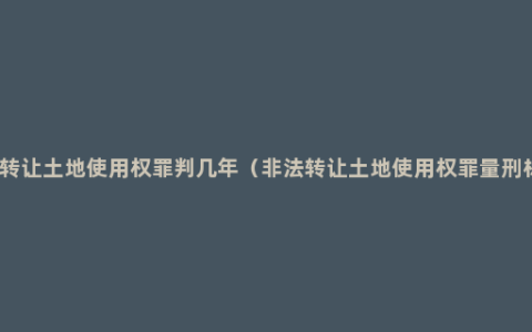 非法转让土地使用权罪判几年（非法转让土地使用权罪量刑标准）