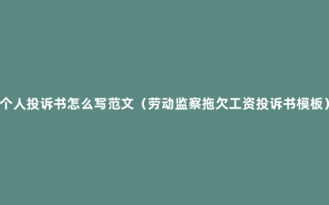 个人投诉书怎么写范文（劳动监察拖欠工资投诉书模板）