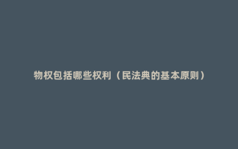 物权包括哪些权利（民法典的基本原则）