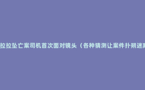货拉拉坠亡案司机首次面对镜头（各种猜测让案件扑朔迷离）