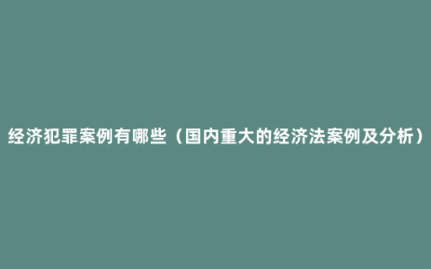经济犯罪案例有哪些（国内重大的经济法案例及分析）