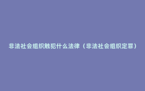 非法社会组织触犯什么法律（非法社会组织定罪）