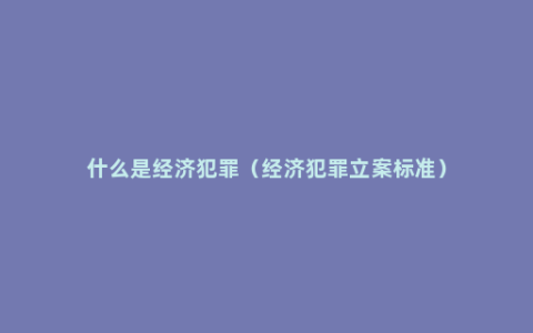 什么是经济犯罪（经济犯罪立案标准）