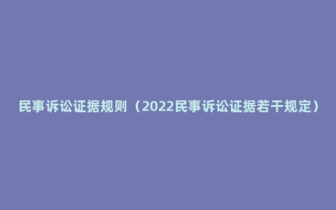 民事诉讼证据规则（2022民事诉讼证据若干规定）