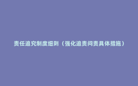 责任追究制度细则（强化追责问责具体措施）