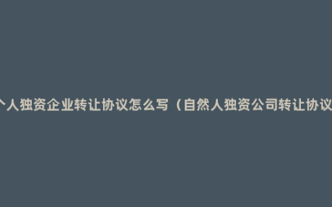 个人独资企业转让协议怎么写（自然人独资公司转让协议）