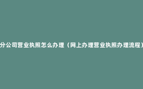 分公司营业执照怎么办理（网上办理营业执照办理流程）