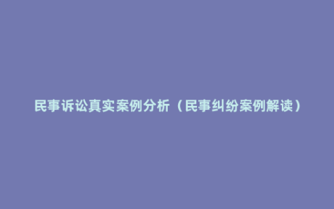民事诉讼真实案例分析（民事纠纷案例解读）