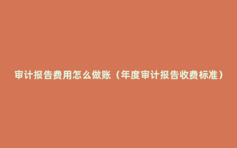 审计报告费用怎么做账（年度审计报告收费标准）