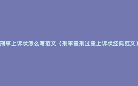 刑事上诉状怎么写范文（刑事量刑过重上诉状经典范文）