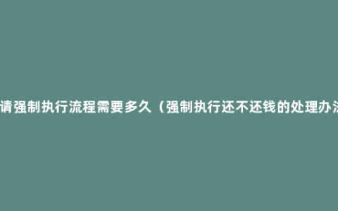 申请强制执行流程需要多久（强制执行还不还钱的处理办法）