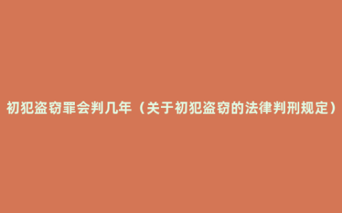 初犯盗窃罪会判几年（关于初犯盗窃的法律判刑规定）