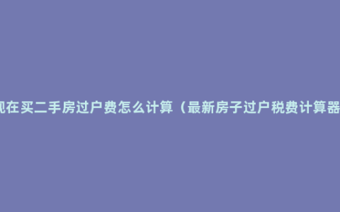 现在买二手房过户费怎么计算（最新房子过户税费计算器）