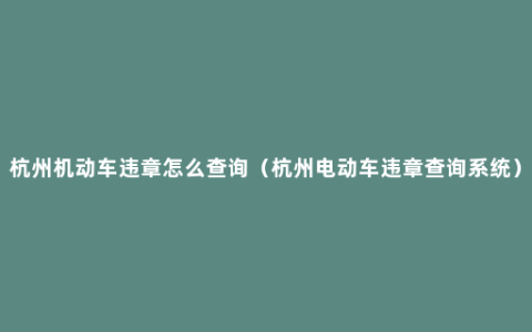 杭州机动车违章怎么查询（杭州电动车违章查询系统）