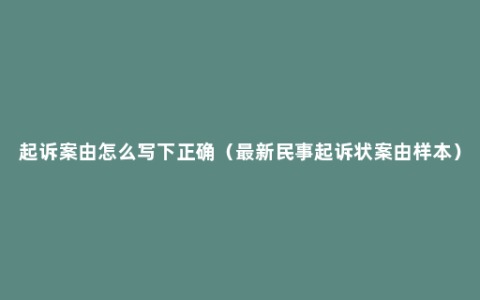 起诉案由怎么写下正确（最新民事起诉状案由样本）