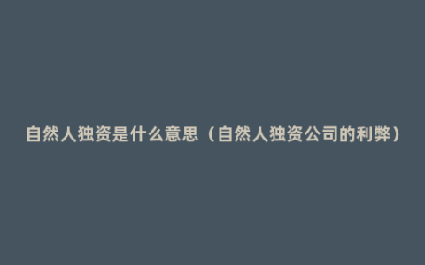 自然人独资是什么意思（自然人独资公司的利弊）