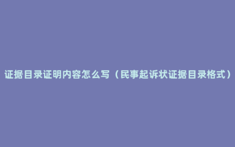 证据目录证明内容怎么写（民事起诉状证据目录格式）
