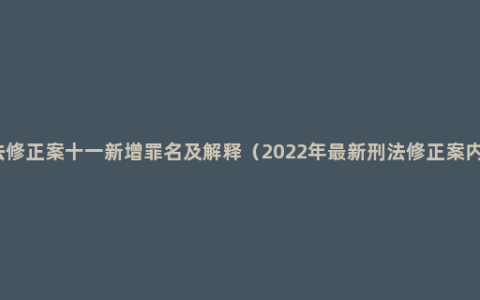 刑法修正案十一新增罪名及解释（2022年最新刑法修正案内容）