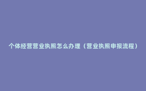 个体经营营业执照怎么办理（营业执照申报流程）