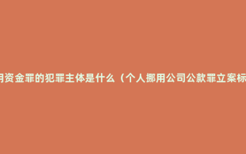 挪用资金罪的犯罪主体是什么（个人挪用公司公款罪立案标准）