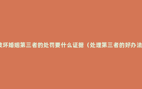 破坏婚姻第三者的处罚要什么证据（处理第三者的好办法）